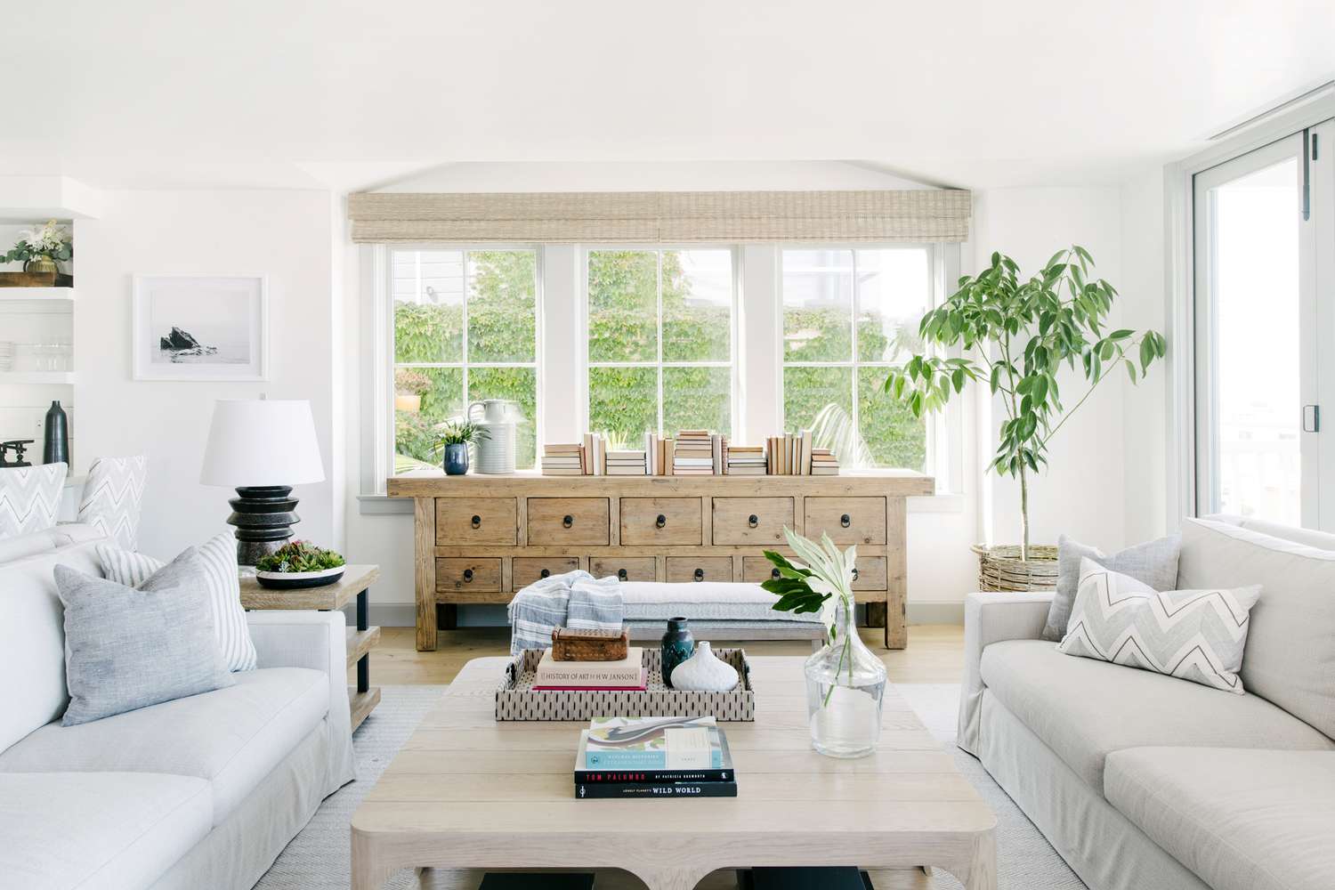 Professional cleaning services 1